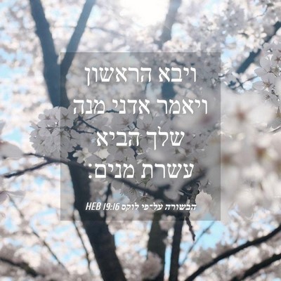 Picture 04 - הבשורה על־פי לוקס 19:16 HEB - ויבא הראשון ויאמר אדני מנה - Bible Verse Picture