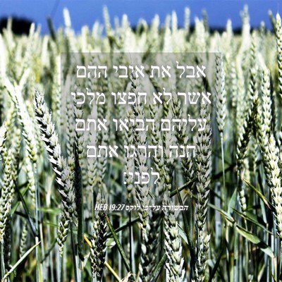 Picture 04 - הבשורה על־פי לוקס 19:27 HEB - אבל את איבי ההם אשר לא חפצו - Bible Verse Picture