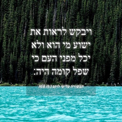 Picture 04 - הבשורה על־פי לוקס 19:3 HEB - ויבקש לראות את ישוע מי הוא - Bible Verse Picture