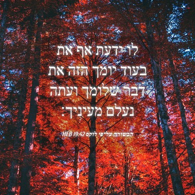 Picture 04 - הבשורה על־פי לוקס 19:42 HEB - לו ידעת אף את בעוד יומך הזה - Bible Verse Picture