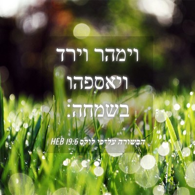 Picture 04 - הבשורה על־פי לוקס 19:6 HEB - וימהר וירד ויאספהו - Bible Verse Picture