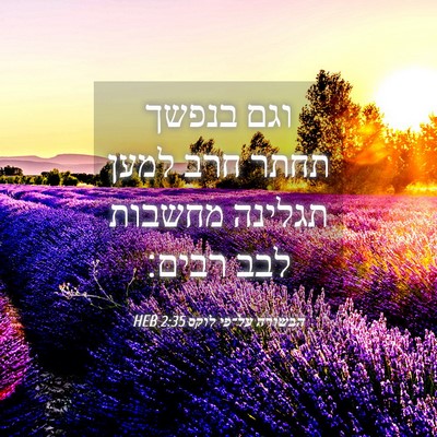 Picture 04 - הבשורה על־פי לוקס 2:35 HEB - וגם בנפשך תחתר חרב למען - Bible Verse Picture