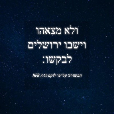 Picture 04 - הבשורה על־פי לוקס 2:45 HEB - ולא מצאהו וישבו ירושלים - Bible Verse Picture