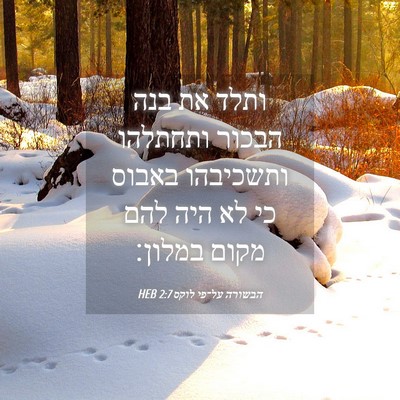 Picture 04 - הבשורה על־פי לוקס 2:7 HEB - ותלד את בנה הבכור ותחתלהו - Bible Verse Picture
