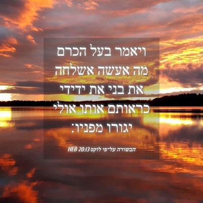 Picture 04 - הבשורה על־פי לוקס 20:13 HEB - ויאמר בעל הכרם מה אעשה - Bible Verse Picture