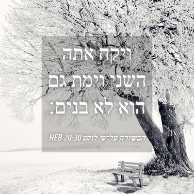 Picture 04 - הבשורה על־פי לוקס 20:30 HEB - ויקח אתה השני וימת גם הוא - Bible Verse Picture