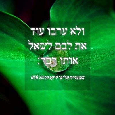 Picture 04 - הבשורה על־פי לוקס 20:40 HEB - ולא ערבו עוד את לבם לשאל - Bible Verse Picture