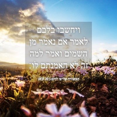 Picture 04 - הבשורה על־פי לוקס 20:5 HEB - ויחשבו בלבם לאמר אם נאמר מן - Bible Verse Picture