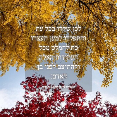 Picture 04 - הבשורה על־פי לוקס 21:36 HEB - לכן שקדו בכל עת והתפללו - Bible Verse Picture