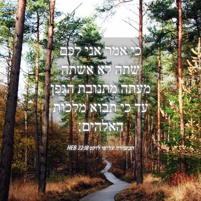 Picture 04 - הבשורה על־פי לוקס 22:18 HEB - כי אמר אני לכם שתה לא אשתה - Bible Verse Picture
