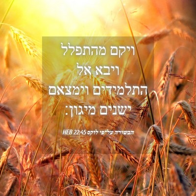 Picture 04 - הבשורה על־פי לוקס 22:45 HEB - ויקם מהתפלל ויבא אל - Bible Verse Picture