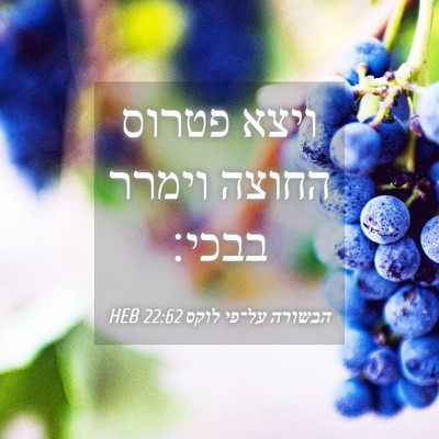 Picture 04 - הבשורה על־פי לוקס 22:62 HEB - ויצא פטרוס החוצה וימרר - Bible Verse Picture