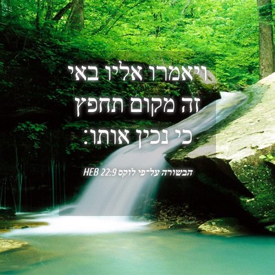 Picture 04 - הבשורה על־פי לוקס 22:9 HEB - ויאמרו אליו באי זה מקום - Bible Verse Picture