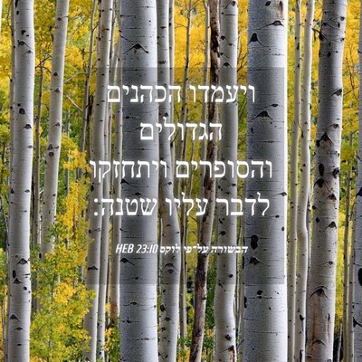 Picture 04 - הבשורה על־פי לוקס 23:10 HEB - ויעמדו הכהנים הגדולים - Bible Verse Picture