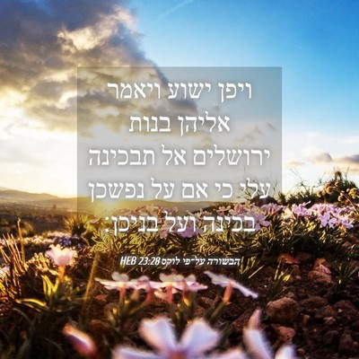 Picture 04 - הבשורה על־פי לוקס 23:28 HEB - ויפן ישוע ויאמר אליהן בנות - Bible Verse Picture