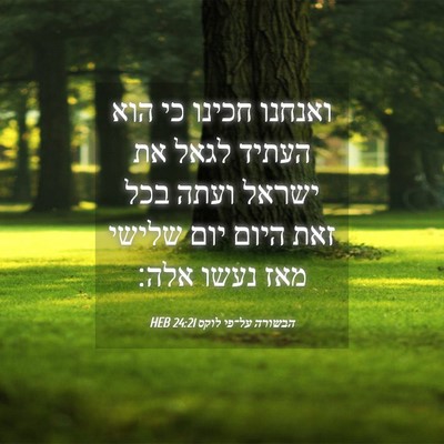 Picture 04 - הבשורה על־פי לוקס 24:21 HEB - ואנחנו חכינו כי הוא העתיד - Bible Verse Picture