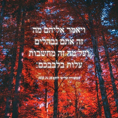 Picture 04 - הבשורה על־פי לוקס 24:38 HEB - ויאמר אליהם מה זה אתם - Bible Verse Picture