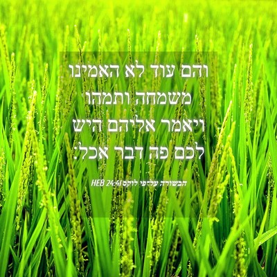 Picture 04 - הבשורה על־פי לוקס 24:41 HEB - והם עוד לא האמינו משמחה - Bible Verse Picture
