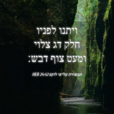 Picture 04 - הבשורה על־פי לוקס 24:42 HEB - ויתנו לפניו חלק דג צלוי - Bible Verse Picture