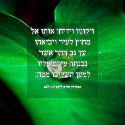Picture 04 - הבשורה על־פי לוקס 4:29 HEB - ויקומו וידיחו אותו אל מחוץ - Bible Verse Picture