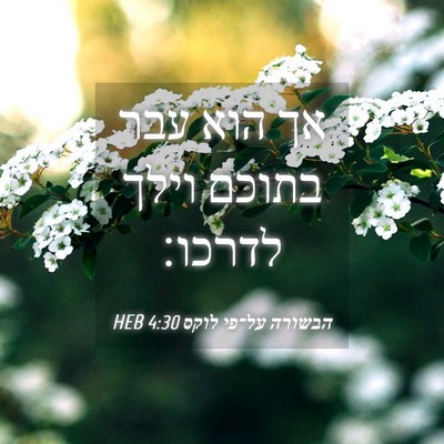 Picture 04 - הבשורה על־פי לוקס 4:30 HEB - אך הוא עבר בתוכם וילך - Bible Verse Picture