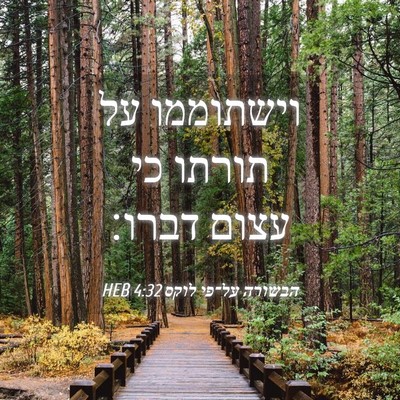 Picture 04 - הבשורה על־פי לוקס 4:32 HEB - וישתוממו על תורתו כי עצום - Bible Verse Picture