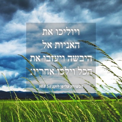 Picture 04 - הבשורה על־פי לוקס 5:11 HEB - ויוליכו את האניות אל היבשה - Bible Verse Picture
