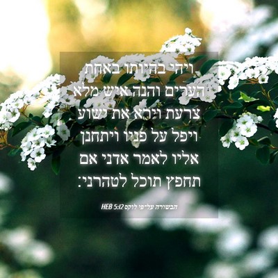Picture 04 - הבשורה על־פי לוקס 5:12 HEB - ויהי בהיותו באחת הערים - Bible Verse Picture