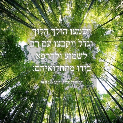 Picture 04 - הבשורה על־פי לוקס 5:15 HEB - ושמעו הולך הלוך וגדל - Bible Verse Picture