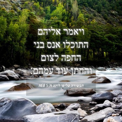 Picture 04 - הבשורה על־פי לוקס 5:34 HEB - ויאמר אליהם התוכלו אנס בני - Bible Verse Picture