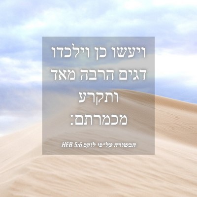 Picture 04 - הבשורה על־פי לוקס 5:6 HEB - ויעשו כן וילכדו דגים הרבה - Bible Verse Picture