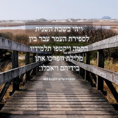 Picture 04 - הבשורה על־פי לוקס 6:1 HEB - ויהי בשבת השנית לספירת - Bible Verse Picture