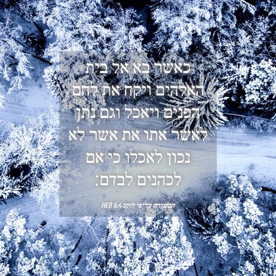 Picture 04 - הבשורה על־פי לוקס 6:4 HEB - כאשר בא אל בית האלהים ויקח - Bible Verse Picture