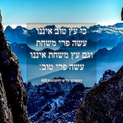 Picture 04 - הבשורה על־פי לוקס 6:43 HEB - כי עץ טוב איננו עשה פרי - Bible Verse Picture
