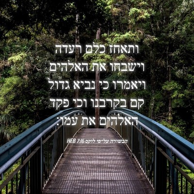 Picture 04 - הבשורה על־פי לוקס 7:16 HEB - ותאחז כלם רעדה וישבחו את - Bible Verse Picture