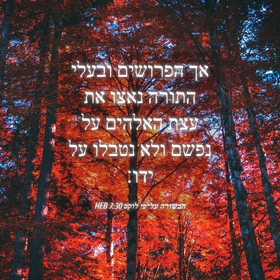 Picture 04 - הבשורה על־פי לוקס 7:30 HEB - אך הפרושים ובעלי התורה - Bible Verse Picture