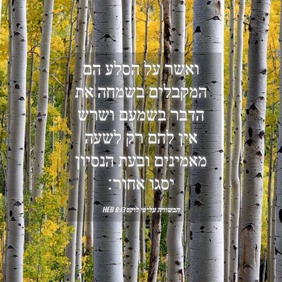 Picture 04 - הבשורה על־פי לוקס 8:13 HEB - ואשר על הסלע הם המקבלים - Bible Verse Picture
