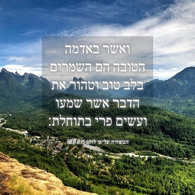 Picture 04 - הבשורה על־פי לוקס 8:15 HEB - ואשר באדמה הטובה הם השמרים - Bible Verse Picture