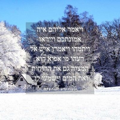 Picture 04 - הבשורה על־פי לוקס 8:25 HEB - ויאמר אליהם איה אמונתכם - Bible Verse Picture