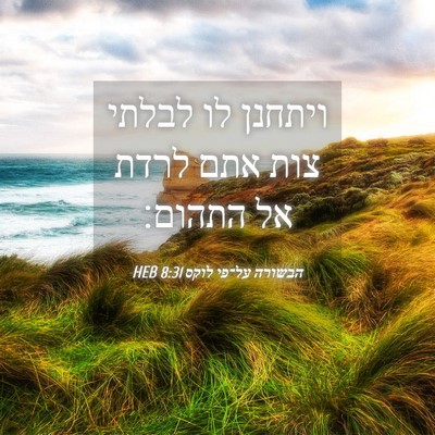 Picture 04 - הבשורה על־פי לוקס 8:31 HEB - ויתחנן לו לבלתי צות אתם - Bible Verse Picture