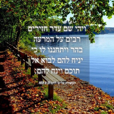 Picture 04 - הבשורה על־פי לוקס 8:32 HEB - ויהי שם עדר חזירים רבים על - Bible Verse Picture