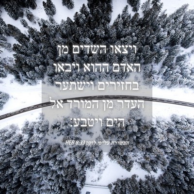Picture 04 - הבשורה על־פי לוקס 8:33 HEB - ויצאו השדים מן האדם ההוא - Bible Verse Picture