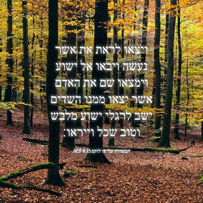 Picture 04 - הבשורה על־פי לוקס 8:35 HEB - ויצאו לראת את אשר נעשה - Bible Verse Picture