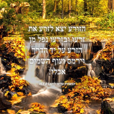 Picture 04 - הבשורה על־פי לוקס 8:5 HEB - הזורע יצא לזרע את זרעו - Bible Verse Picture