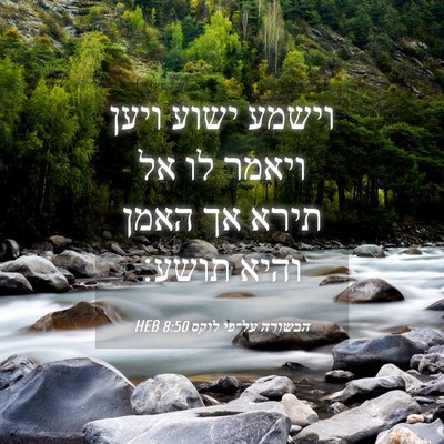 Picture 04 - הבשורה על־פי לוקס 8:50 HEB - וישמע ישוע ויען ויאמר לו אל - Bible Verse Picture