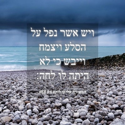 Picture 04 - הבשורה על־פי לוקס 8:6 HEB - ויש אשר נפל על הסלע ויצמח - Bible Verse Picture