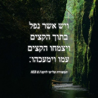 Picture 04 - הבשורה על־פי לוקס 8:7 HEB - ויש אשר נפל בתוך הקצים - Bible Verse Picture