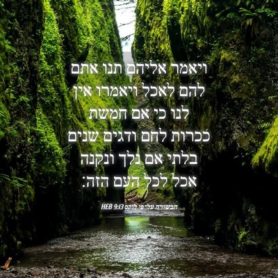 Picture 04 - הבשורה על־פי לוקס 9:13 HEB - ויאמר אליהם תנו אתם להם - Bible Verse Picture