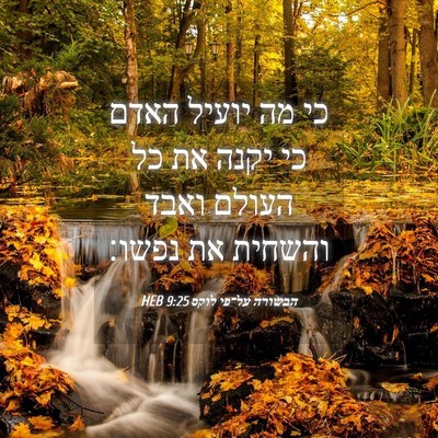 Picture 04 - הבשורה על־פי לוקס 9:25 HEB - כי מה יועיל האדם כי יקנה את - Bible Verse Picture