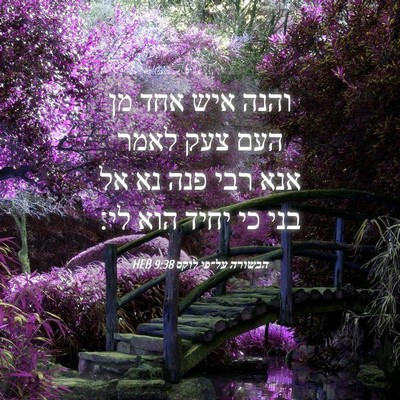 Picture 04 - הבשורה על־פי לוקס 9:38 HEB - והנה איש אחד מן העם צעק - Bible Verse Picture
